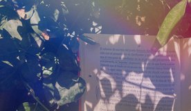 Les pelis fora de les pelis | #Hamaca Aprende > con_artistas